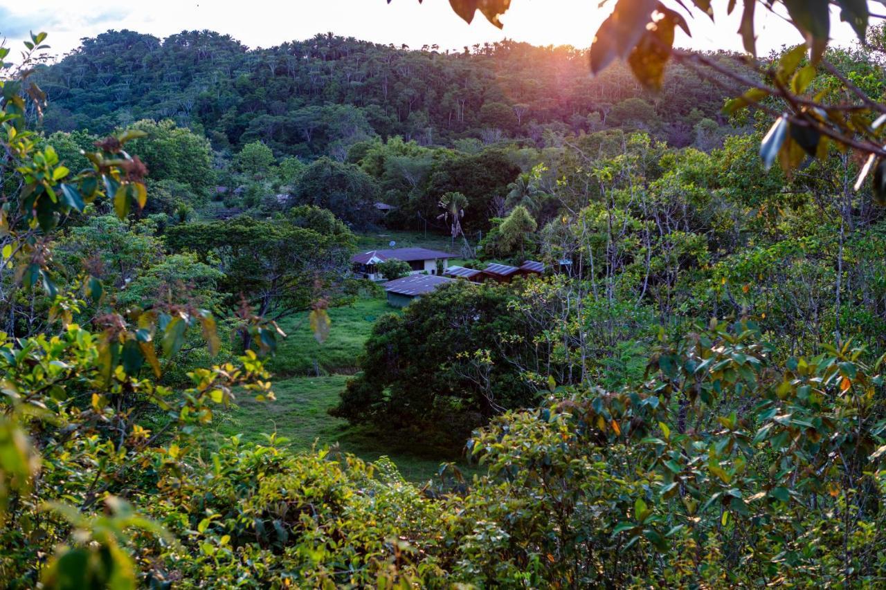 Oso De Osa Hotel Sierpe Bagian luar foto