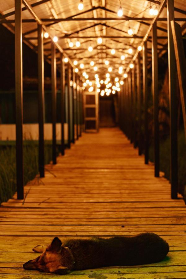 Oso De Osa Hotel Sierpe Bagian luar foto