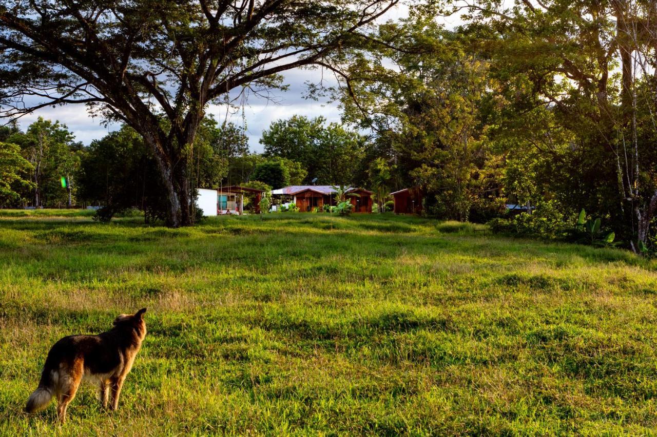 Oso De Osa Hotel Sierpe Bagian luar foto