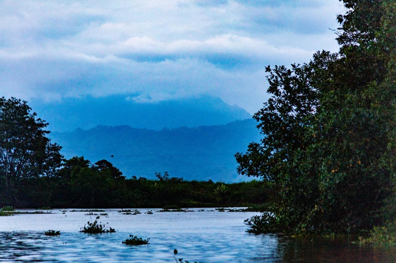 Oso De Osa Hotel Sierpe Bagian luar foto