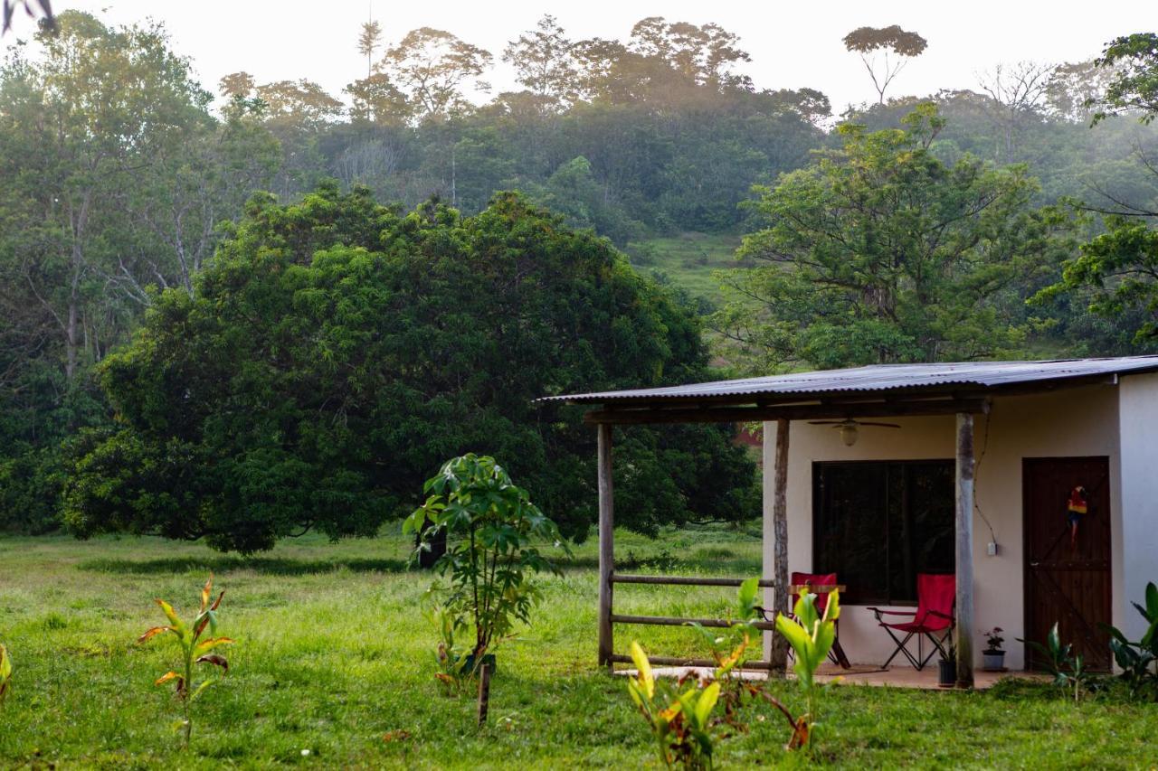Oso De Osa Hotel Sierpe Bagian luar foto